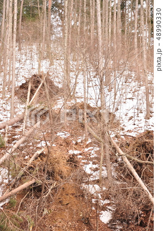 自然崩落 48990330