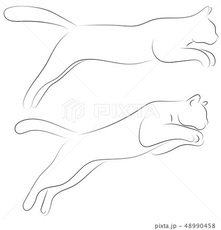 Two cats in sketch style. Two cats in sketch style. 48990458