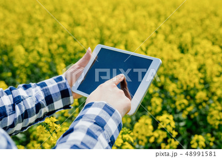 Agriculture Farmer Using Digital Tablet Examining Crops 48991581