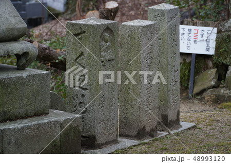 【四国八十八ヶ所】第六十九番 観音寺 門前の遍路石 香川県観音寺市 【四国八十八ヶ所】第六十九番 観音寺 門前の遍路石 香川県観音寺市 48993120