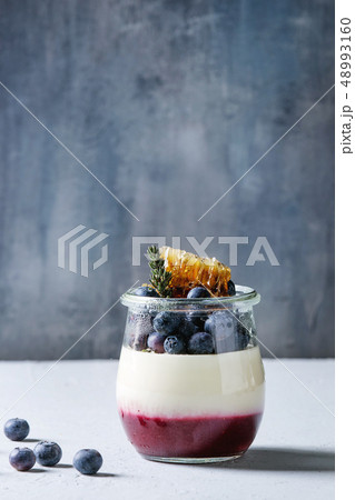 Panna cotta with berries Panna cotta with berries 48993160