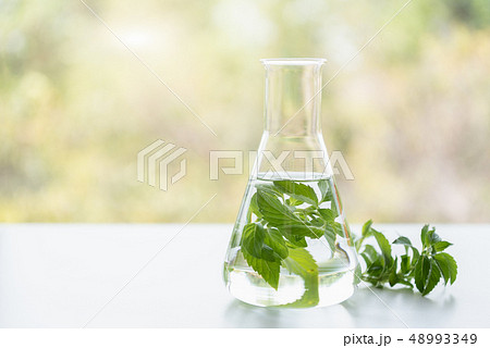 Peppermint spa treatments on white wooden table. 48993349