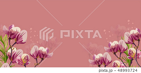 Magnolia flowers Vector on pink background. 48993724