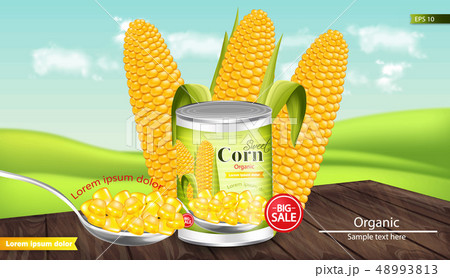 Canned sweet corn Vector realistic. Metal tin. 48993813
