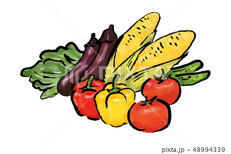 夏野菜 野菜 イラストのイラスト素材 48994339 Pixta