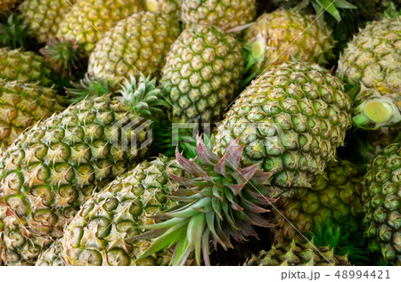 group of pineapple fruit group of pineapple fruit 48994421