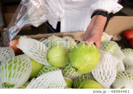 green fresh guava fruit 48994461