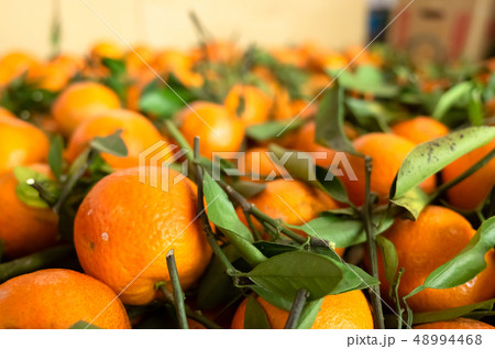 orange fruit stacked on the marketplace 48994468