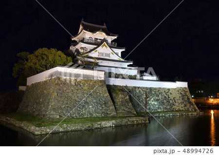 岸和田城　夜景（大阪府岸和田市） 48994726