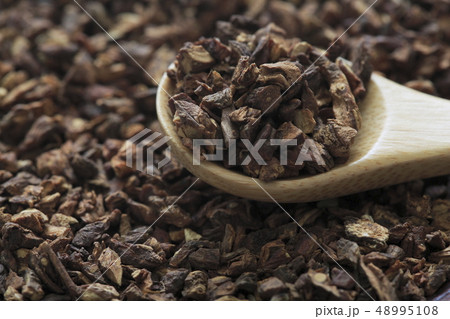 《ハーブ》 ダンディライオンルート 《ハーブ》 ダンディライオンルート 48995108