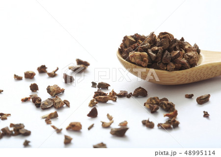 《ハーブ》 ダンディライオンルート 《ハーブ》 ダンディライオンルート 48995114