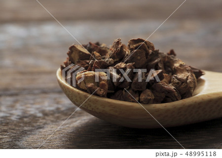 《ハーブ》 ダンディライオンルート 《ハーブ》 ダンディライオンルート 48995118