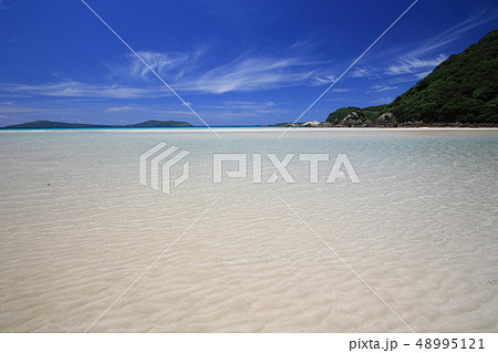 頓泊海水浴場 48995121