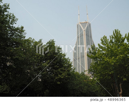 人民広場の木々から覗く高層ビル 48996365