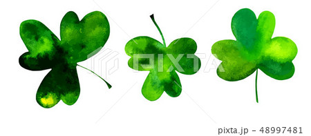 A vector set of three shamrocks, Irish clovers, hand drawn in watercolor and isolated on a white 48997481