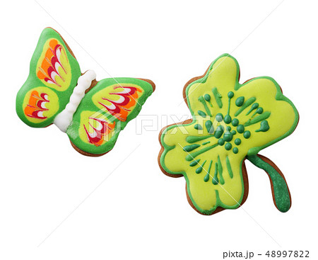 Butterfly and clover leaf 48997822
