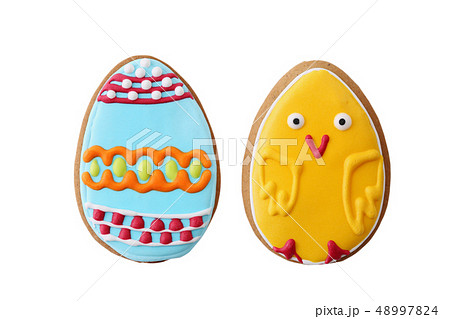 egg in the form of chicken 48997824