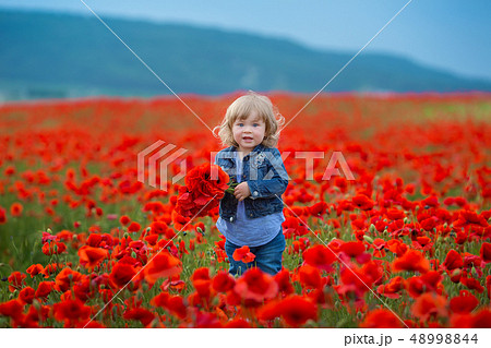 Little girl picking poppies in a field Little girl Little girl picking poppies in a field Little girl 48998844