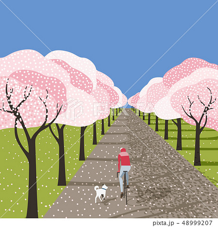 Hand drawn blooming sakura alley 48999207