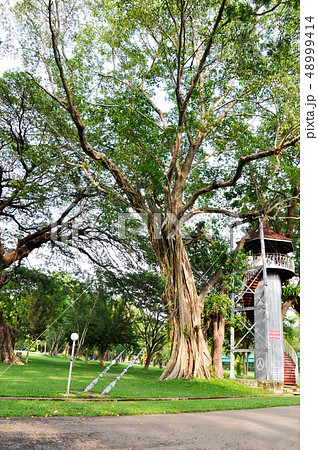 People's Park 48999414