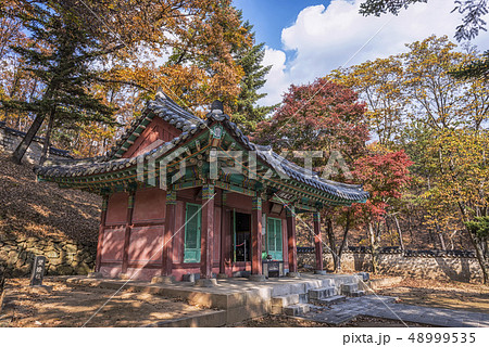 栗谷李珥 坡州この遺跡 坡州市 48999535