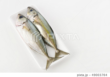 メアジ、トッパク、ガチュン メアジ、トッパク、ガチュン 49003764