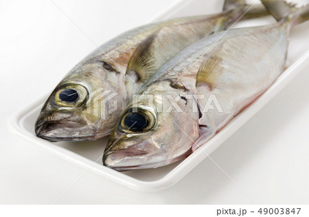 メアジ、トッパク、ガチュン 49003847