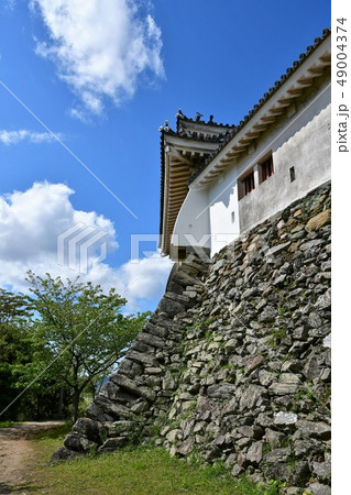 春の和歌山城 49004374