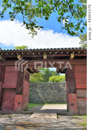 春の和歌山城 49004376