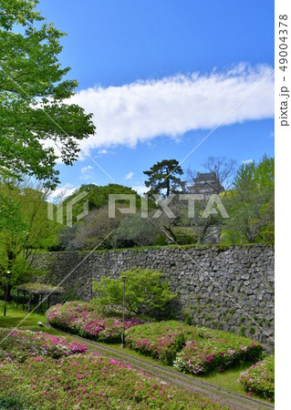 春の和歌山城 49004378