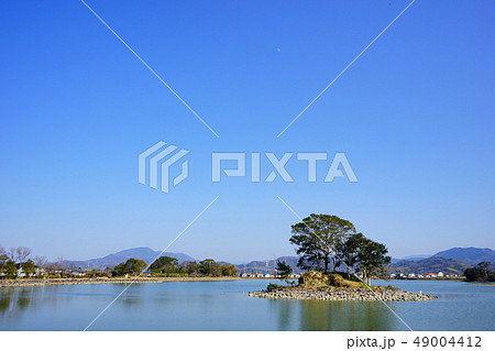 平池緑地公園 和歌山県 49004412