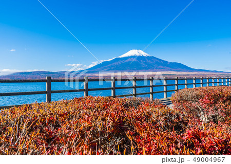 Beautiful landscape of mountain fuji around yamanakako lake 49004967