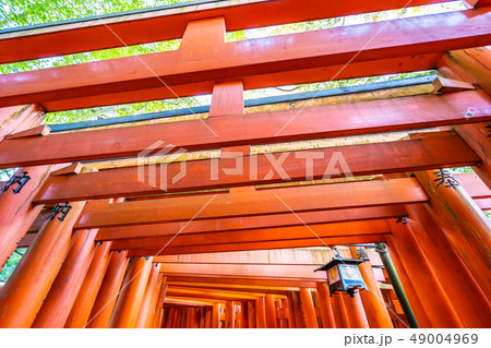 Beautiful fushimi inari shrine temple in Kyoto 49004969