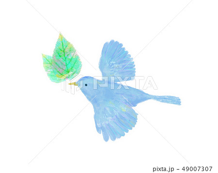 鳥と葉 水彩 手書き風 青い鳥のイラスト素材 49007307 Pixta
