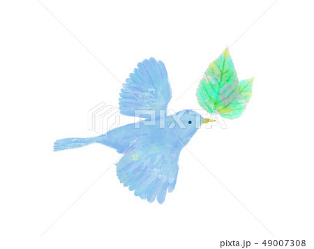 鳥と葉 水彩 手書き風 青い鳥のイラスト素材 49007308 Pixta