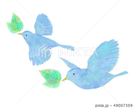 鳥と葉 水彩 手書き風 青い鳥のイラスト素材