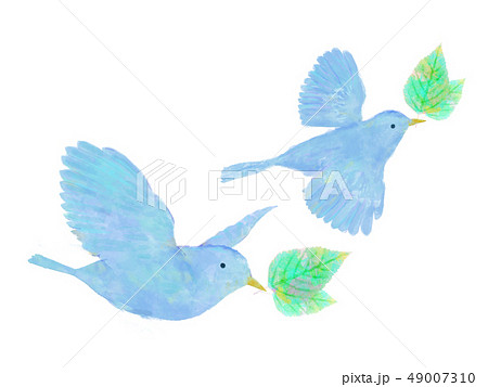 鳥と葉 水彩 手書き風 青い鳥のイラスト素材 49007310 Pixta