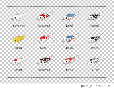List of representative varieties of Nishikigoi Colored carp illustration 49008230