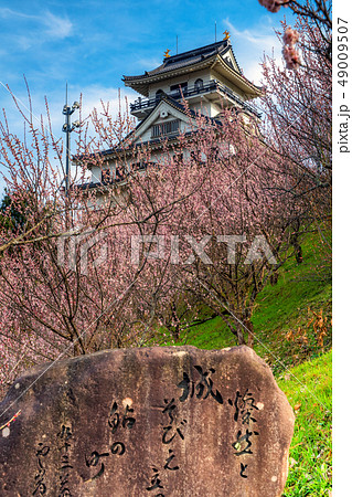 鳥取県にある天空の城　梅が満開の河原城　正式名称丸山城 49009507