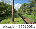 樽見鉄道駅の夏風景 49010031