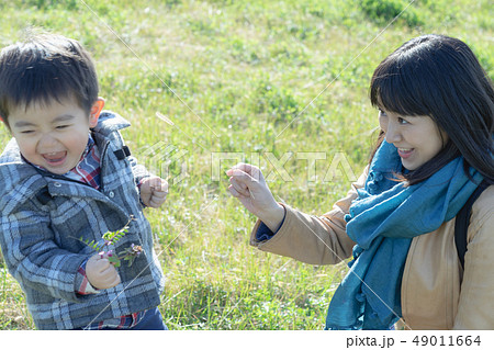 ネコジャラシ  くすぐったい　ママと３歳児 49011664
