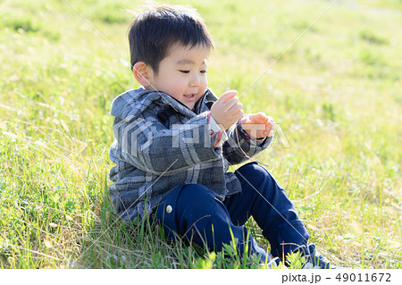 外遊び ネコジャラシを調べる3歳児 外遊び ネコジャラシを調べる3歳児 49011672
