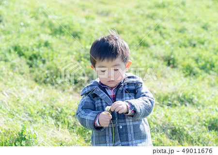 タンポポの綿毛を確かめる３歳児 49011676