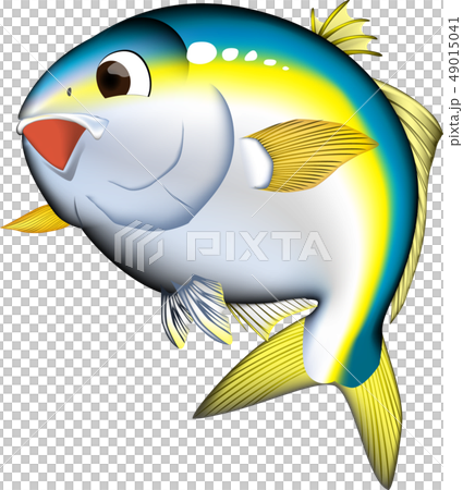 Yellowtail cute series eps vector 49015041