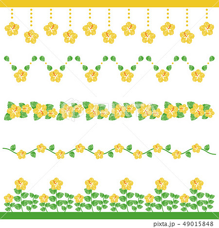 水彩 ハイビスカス ラインのイラスト素材 49015848 Pixta