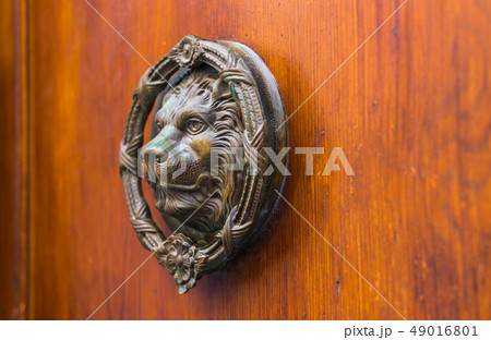 Door with brass knocker in the shape of a lion, Door with brass knocker in the shape of a lion, 49016801