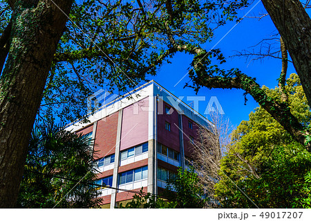 長崎県立長崎図書館 歴史的記録 【長崎県長崎市立山】 長崎県立長崎図書館 歴史的記録 【長崎県長崎市立山】 49017207