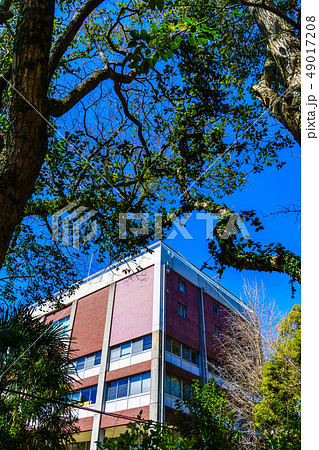 長崎県立長崎図書館　歴史的記録　【長崎県長崎市立山】 49017208