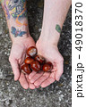 tatooed man holding chestnuts, horse chestnuts, Aesculus 49018370
