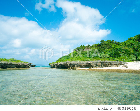 遠浅の海岸 遠浅の海岸 49019059